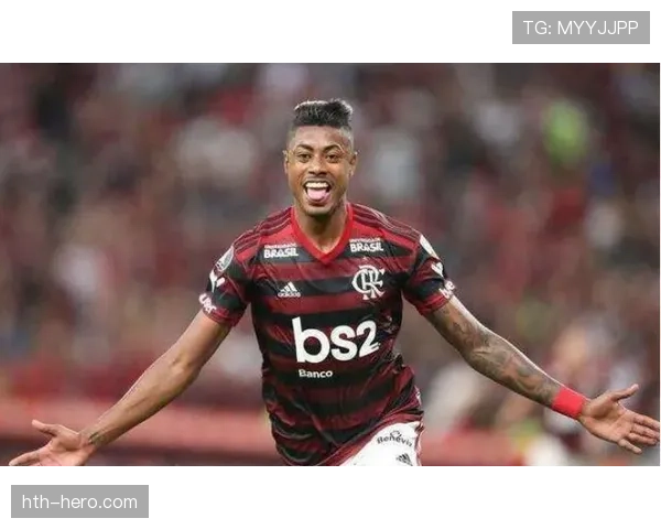 布鲁诺技术特点